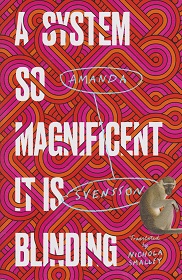 A System so Magnificent it is Blinding by Amanda Svensson